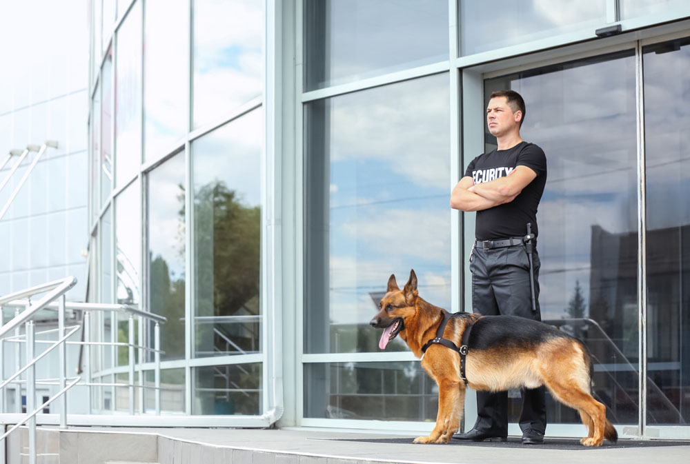 UNIVERSAL SECURITY - Agence de sécurité
